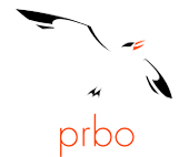 Gift Logo